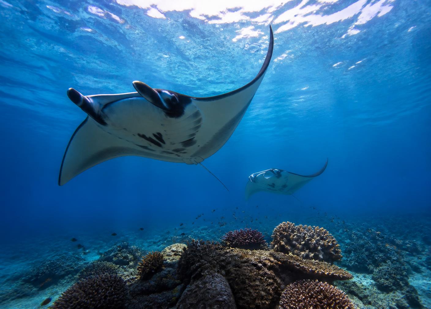The Quietest Month to Sail the Maldives — Atoll Villa journal, Maldives
